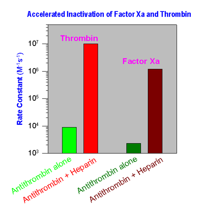 Heparin Structure, metabolism and mechanism image