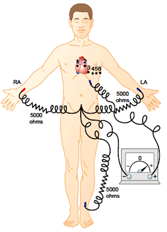 Current flow in the Cardiac cycle Image 26