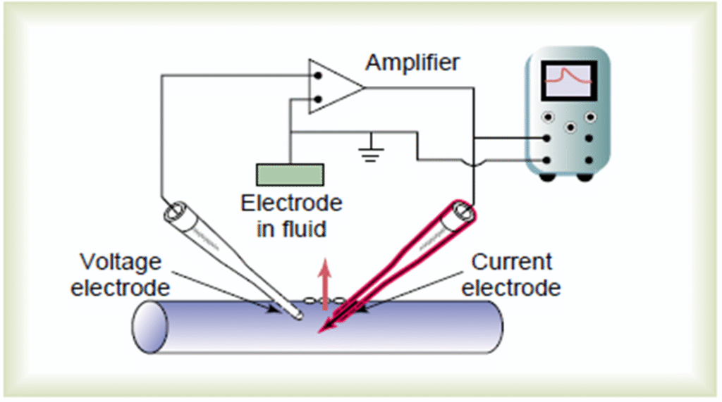 Concept of Nerve Action potential Image 35 1024x571