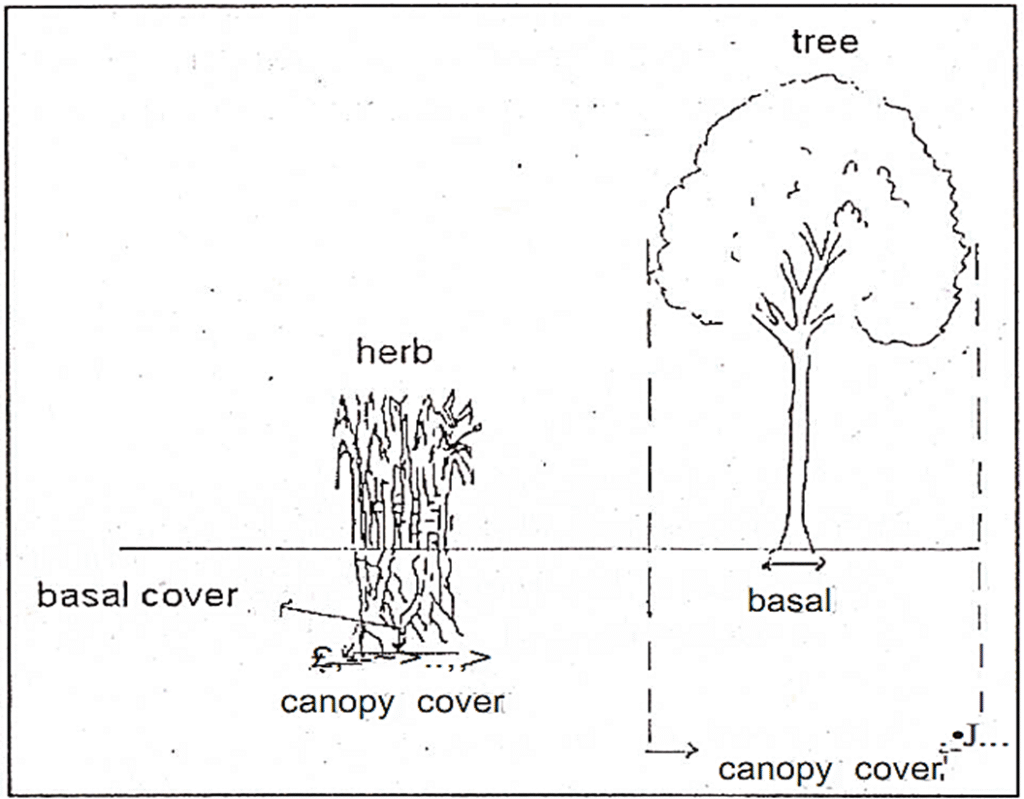 Community Ecology and stratification image