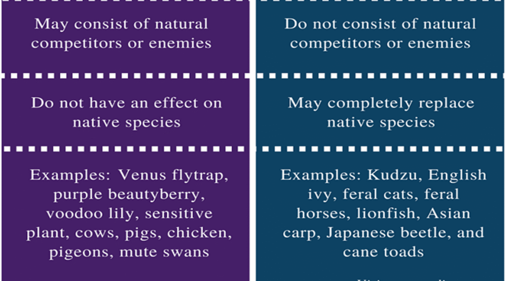 Exotic and Invasive species image