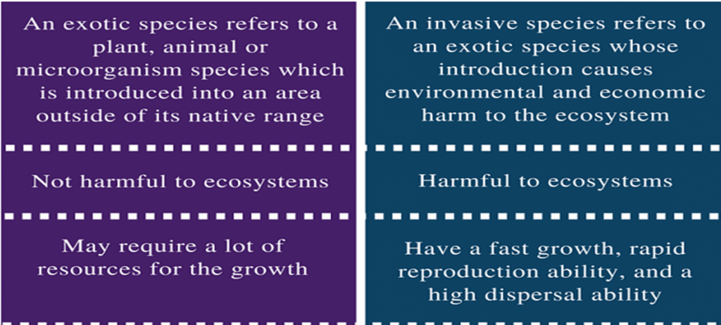 Exotic and Invasive species image