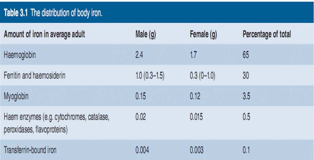 Hypochromic Anemia causes and treatment image