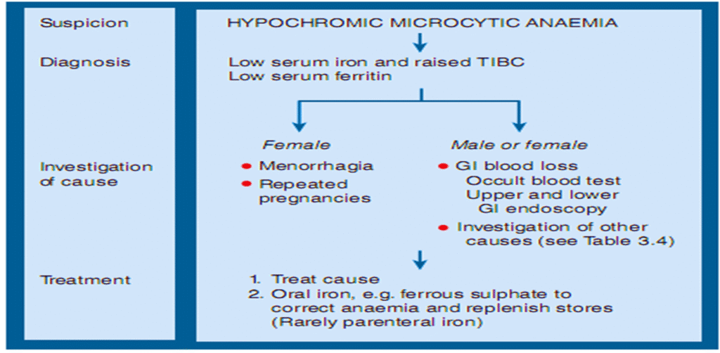 Hypochromic Anemia causes and treatment image